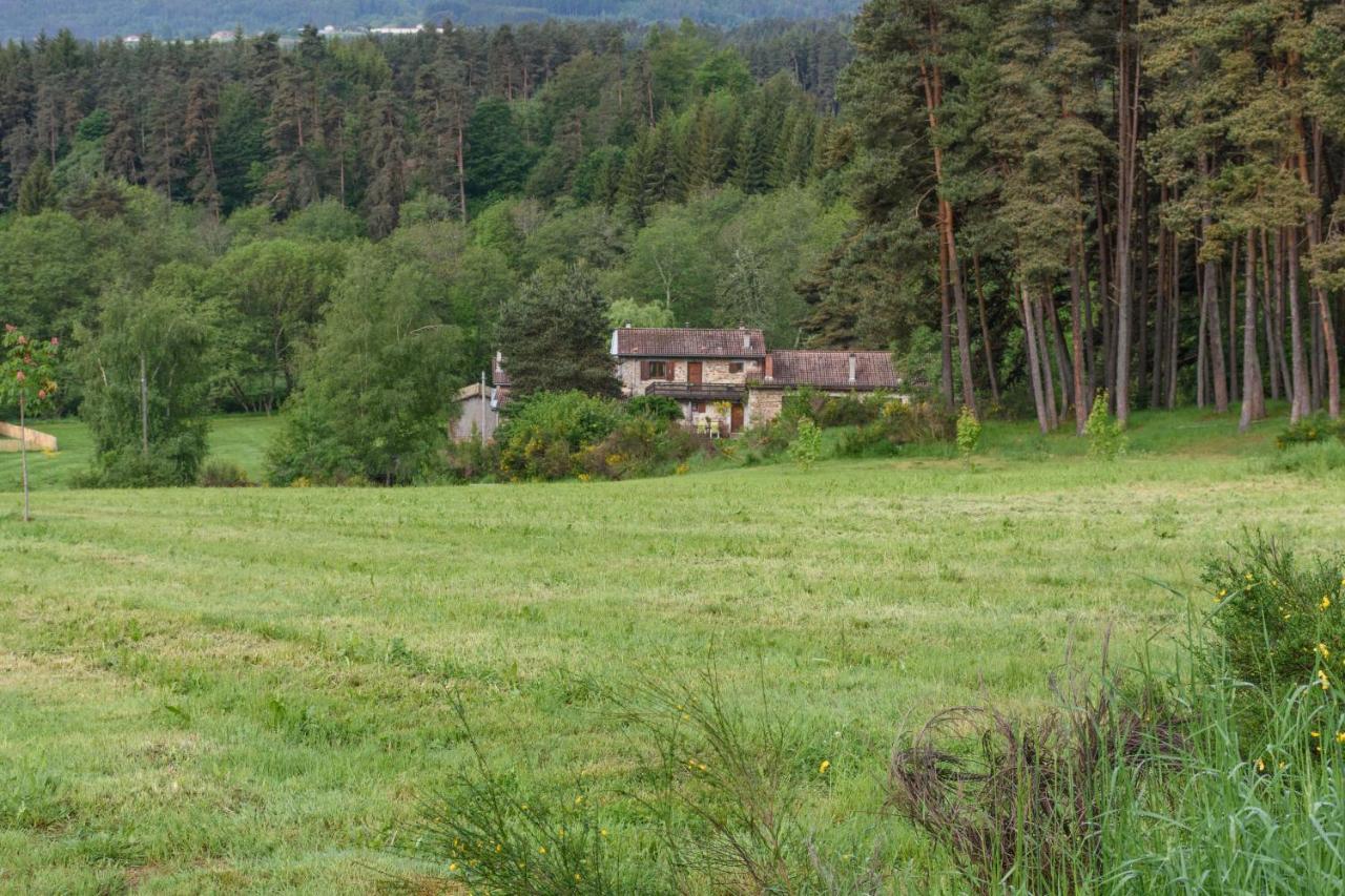 Moulin Des Comtes - Chambre Des Comtes Viverols Bagian luar foto
